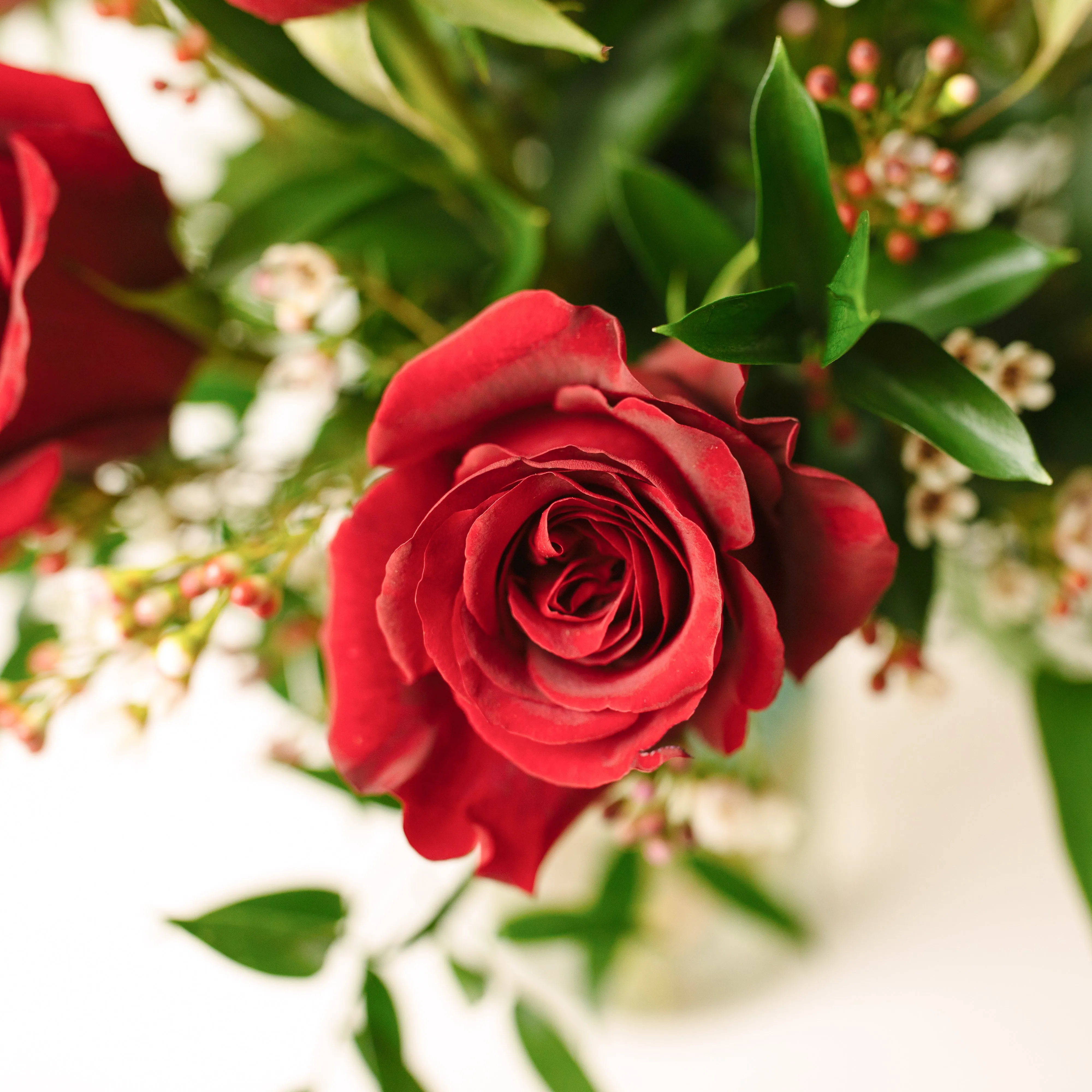 Amore Mix • In a Vase