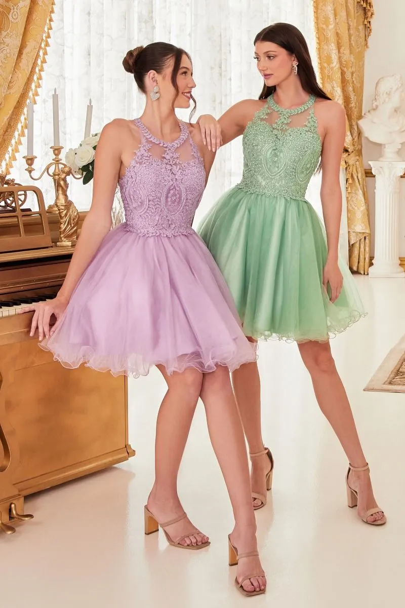 CD UJ0119 - Short A-Line Homecoming Dress with Lace Embroidered Top & Tulle Skirt