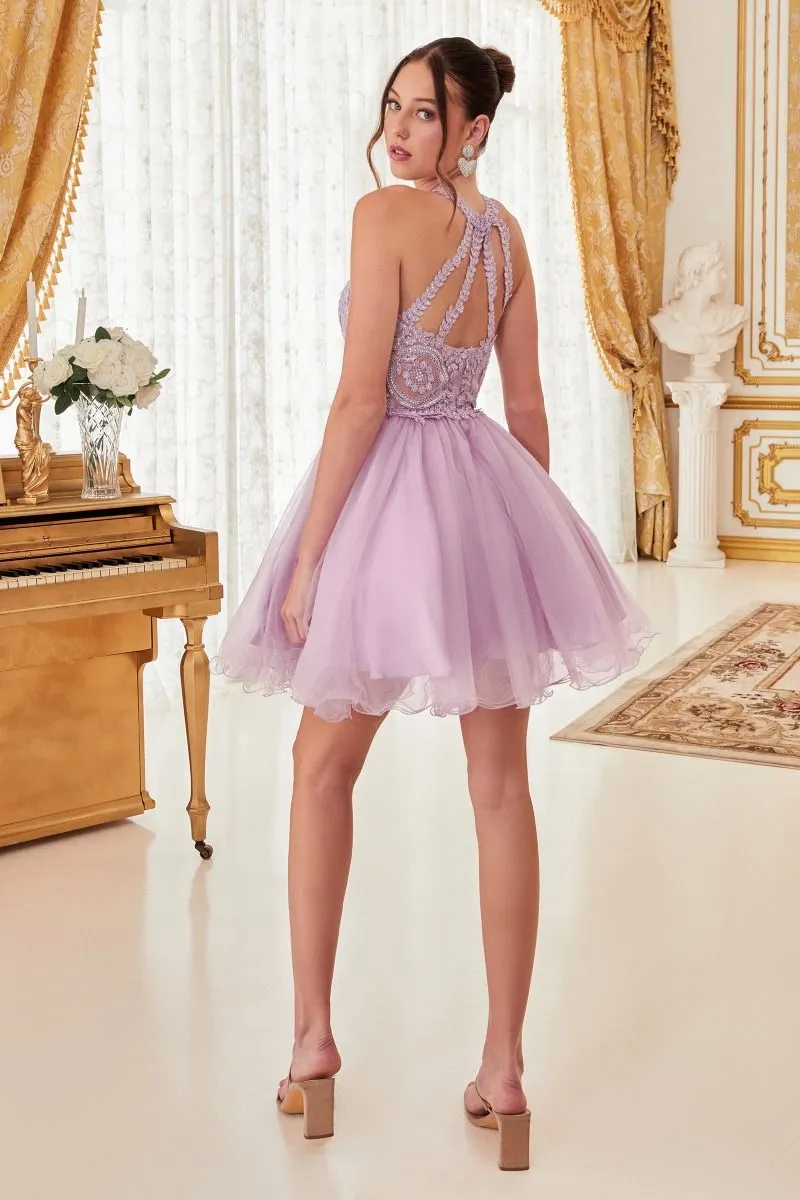 CD UJ0119 - Short A-Line Homecoming Dress with Lace Embroidered Top & Tulle Skirt