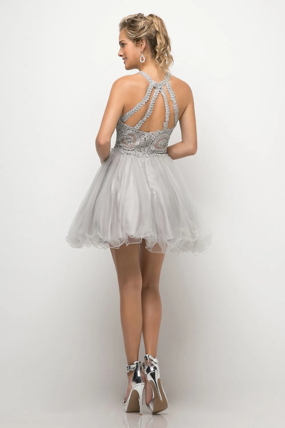 CD UJ0119 - Short A-Line Homecoming Dress with Lace Embroidered Top & Tulle Skirt