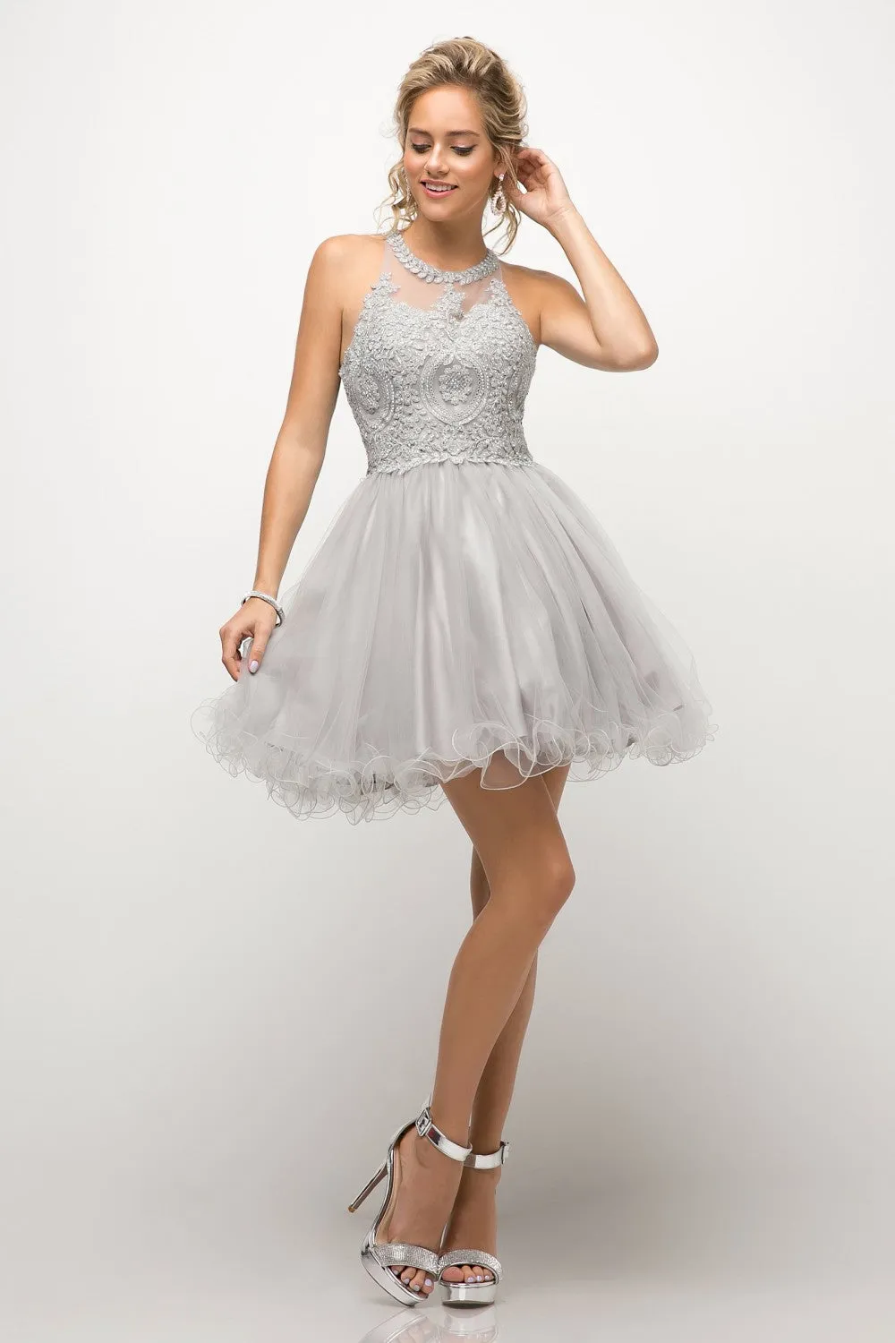 CD UJ0119 - Short A-Line Homecoming Dress with Lace Embroidered Top & Tulle Skirt