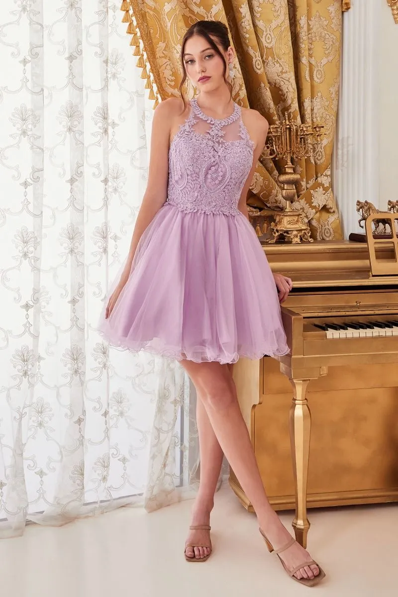 CD UJ0119 - Short A-Line Homecoming Dress with Lace Embroidered Top & Tulle Skirt
