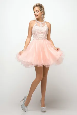 CD UJ0119 - Short A-Line Homecoming Dress with Lace Embroidered Top & Tulle Skirt