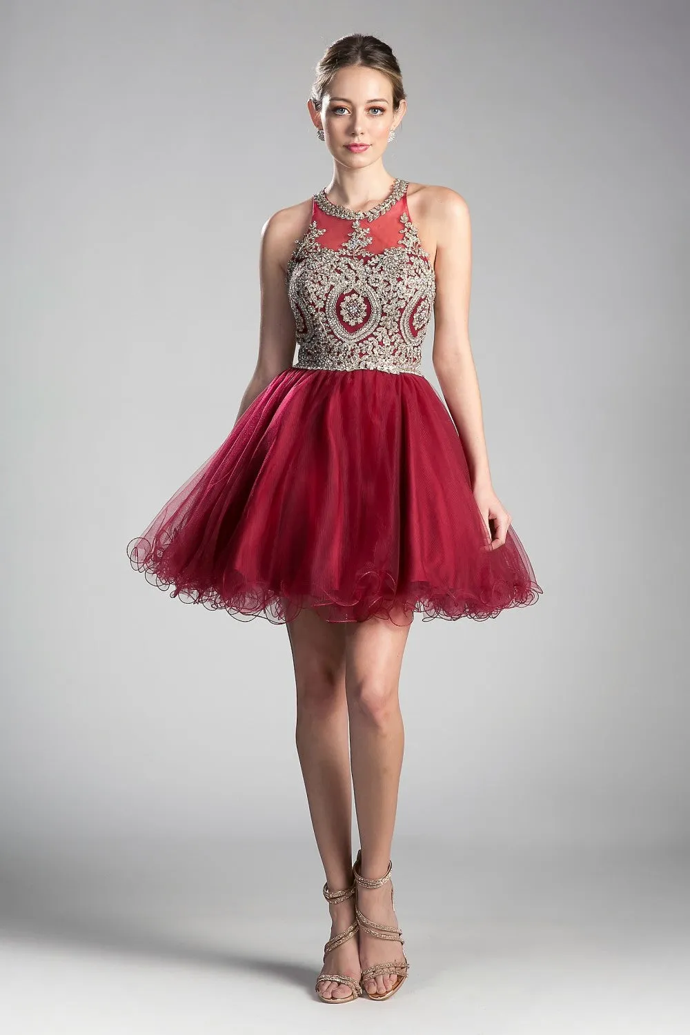 CD UJ0119 - Short A-Line Homecoming Dress with Lace Embroidered Top & Tulle Skirt