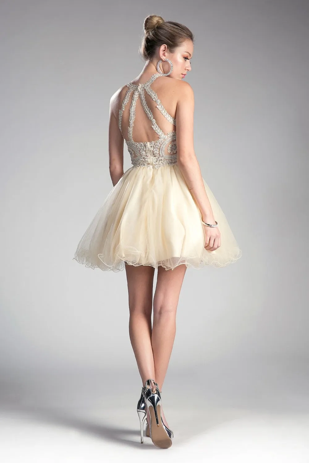 CD UJ0119 - Short A-Line Homecoming Dress with Lace Embroidered Top & Tulle Skirt