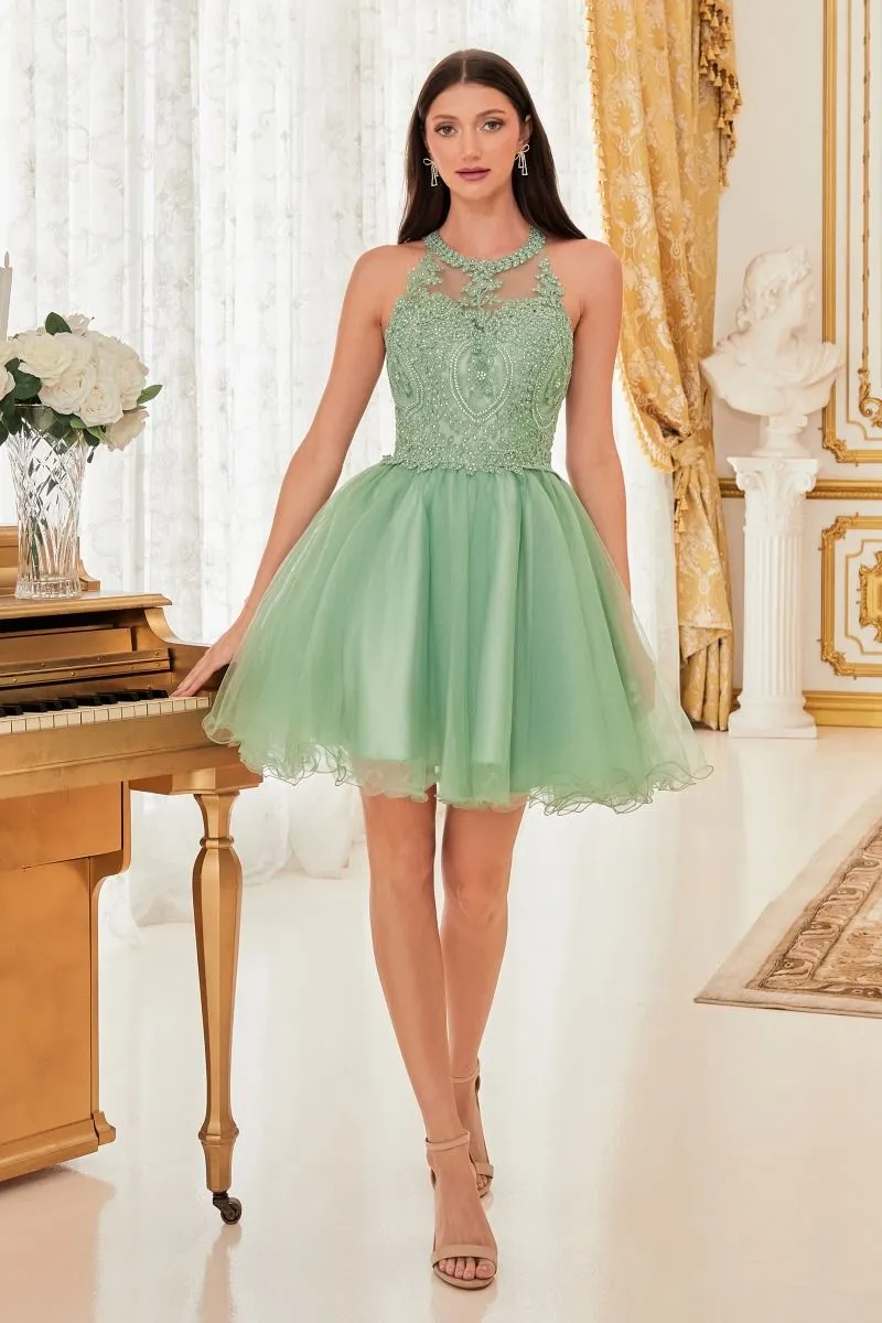 CD UJ0119 - Short A-Line Homecoming Dress with Lace Embroidered Top & Tulle Skirt