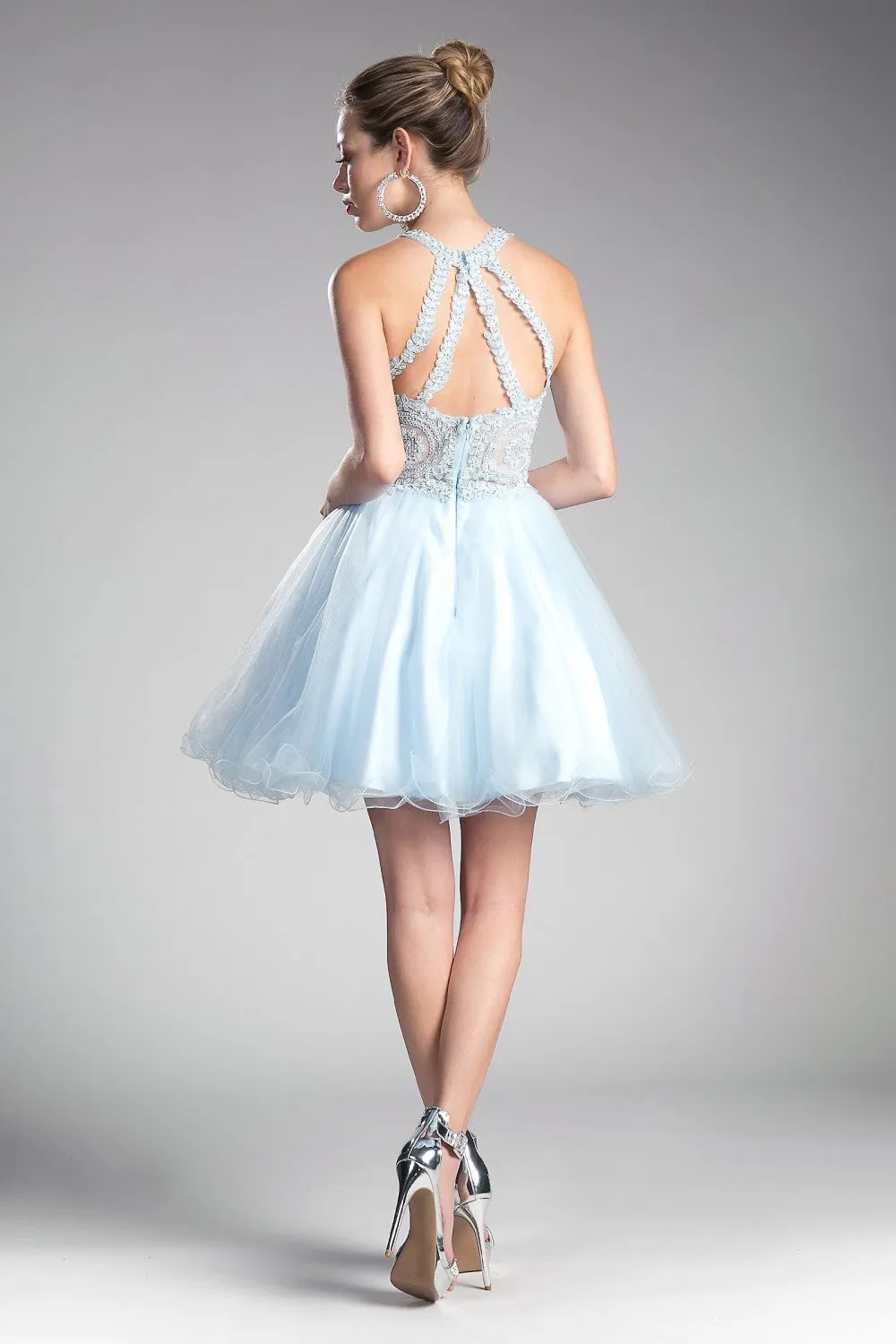 CD UJ0119 - Short A-Line Homecoming Dress with Lace Embroidered Top & Tulle Skirt