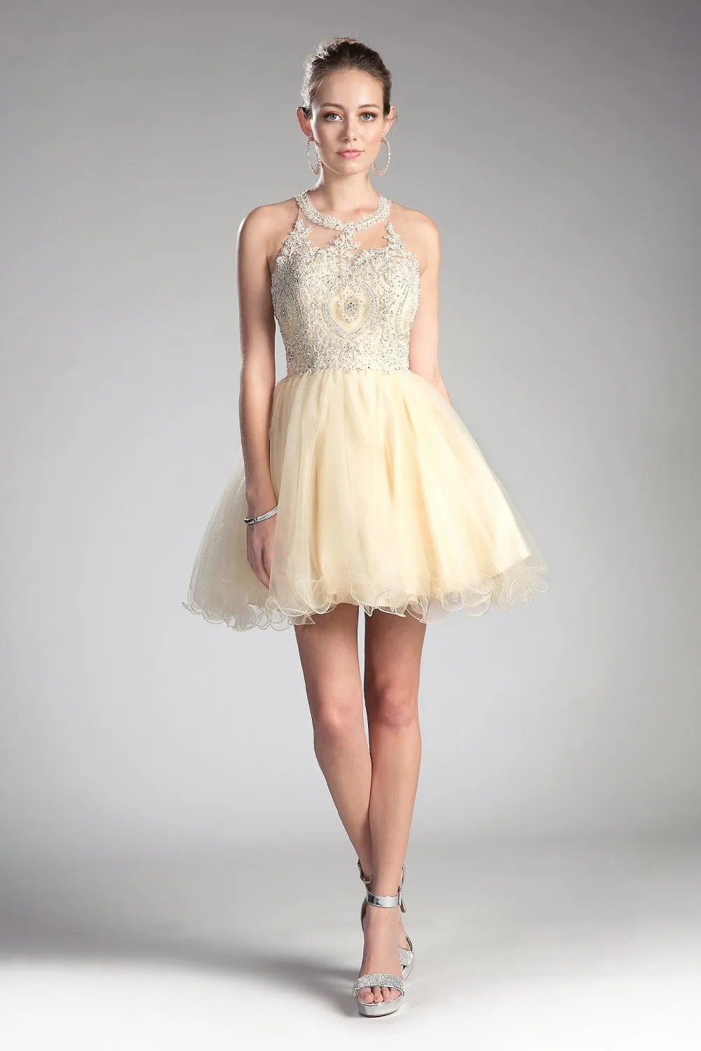 CD UJ0119 - Short A-Line Homecoming Dress with Lace Embroidered Top & Tulle Skirt