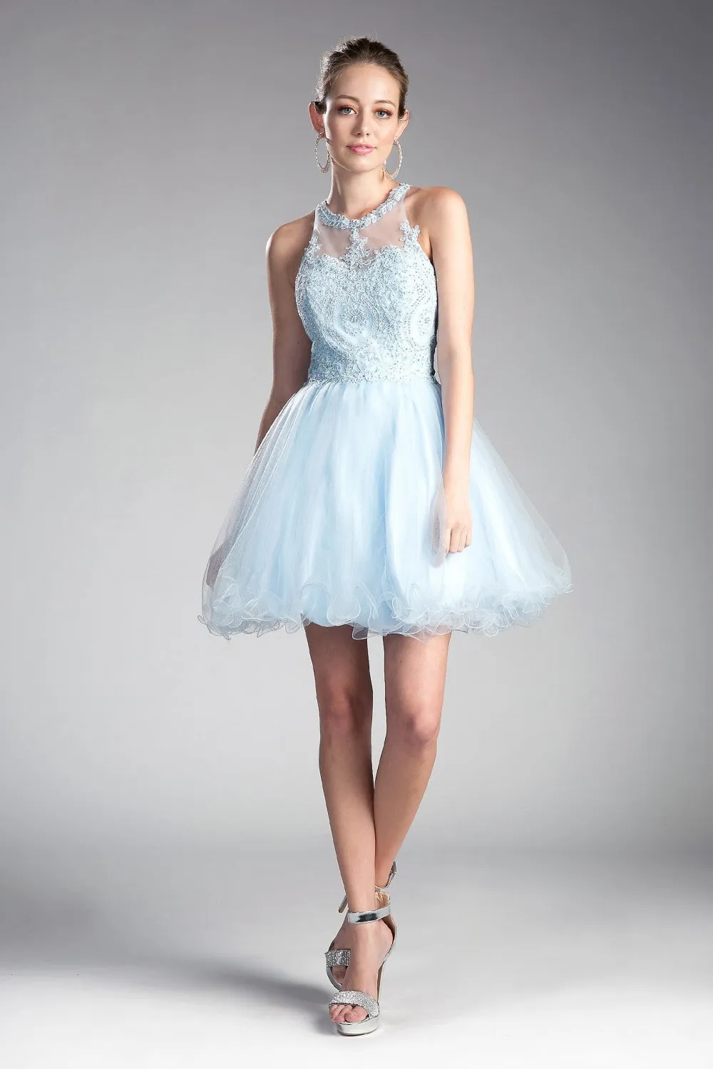 CD UJ0119 - Short A-Line Homecoming Dress with Lace Embroidered Top & Tulle Skirt