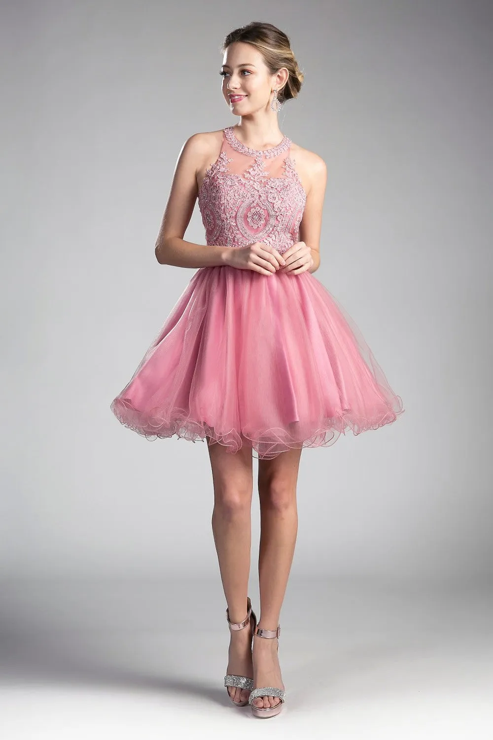 CD UJ0119 - Short A-Line Homecoming Dress with Lace Embroidered Top & Tulle Skirt