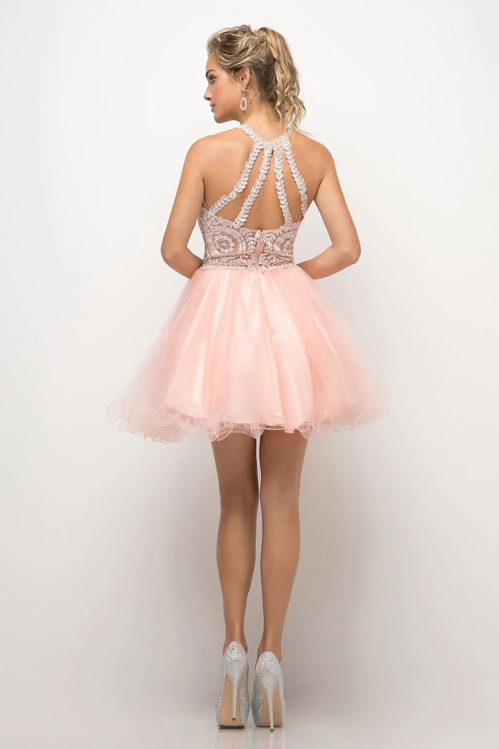 CD UJ0119 - Short A-Line Homecoming Dress with Lace Embroidered Top & Tulle Skirt