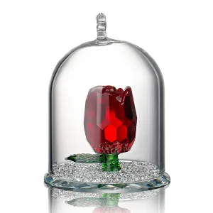 H&D X'mas Gifts New Beauty and the Beast Rose Glass Crystal Enchanted Rose in Terrarium Valentines Day Souvenir Lover's Gift