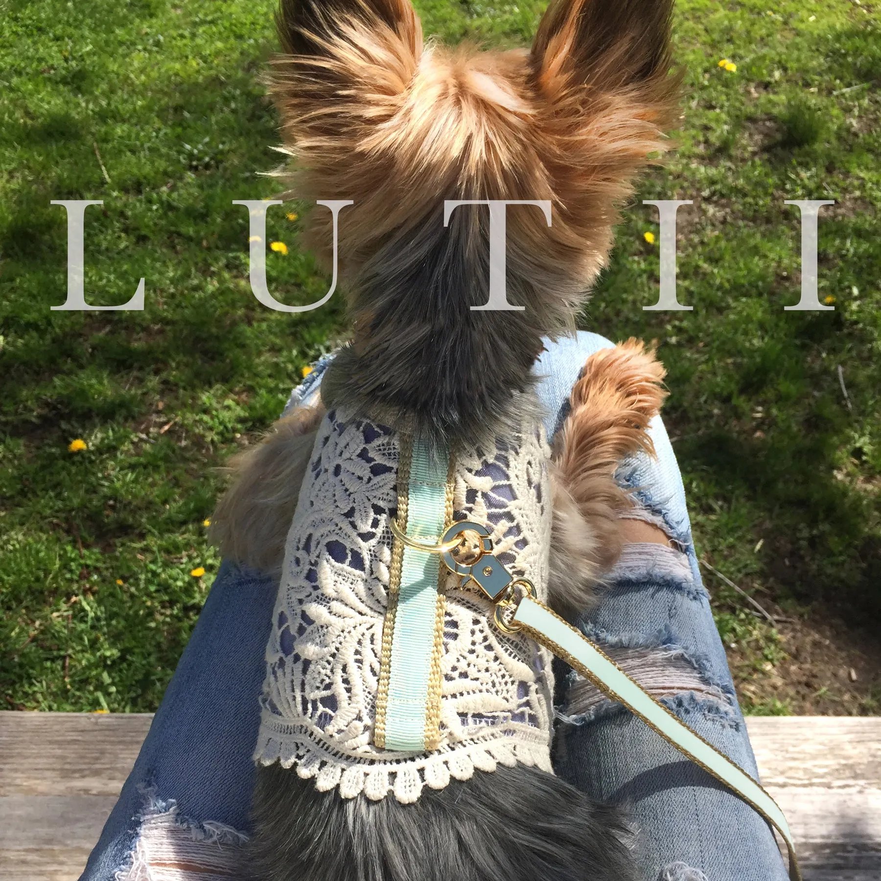 "Cream/pink Victoria"-handmade adjustable lace dog harness