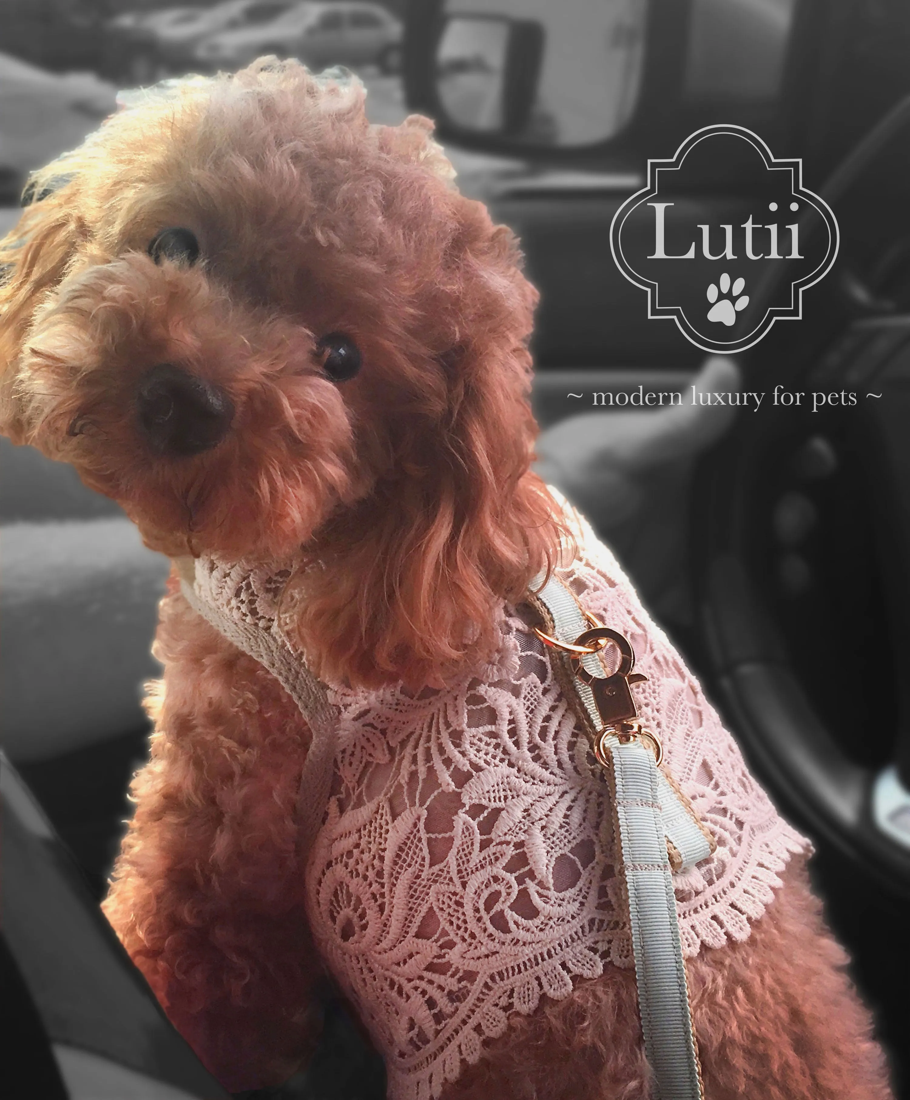 "Cream/pink Victoria"-handmade adjustable lace dog harness