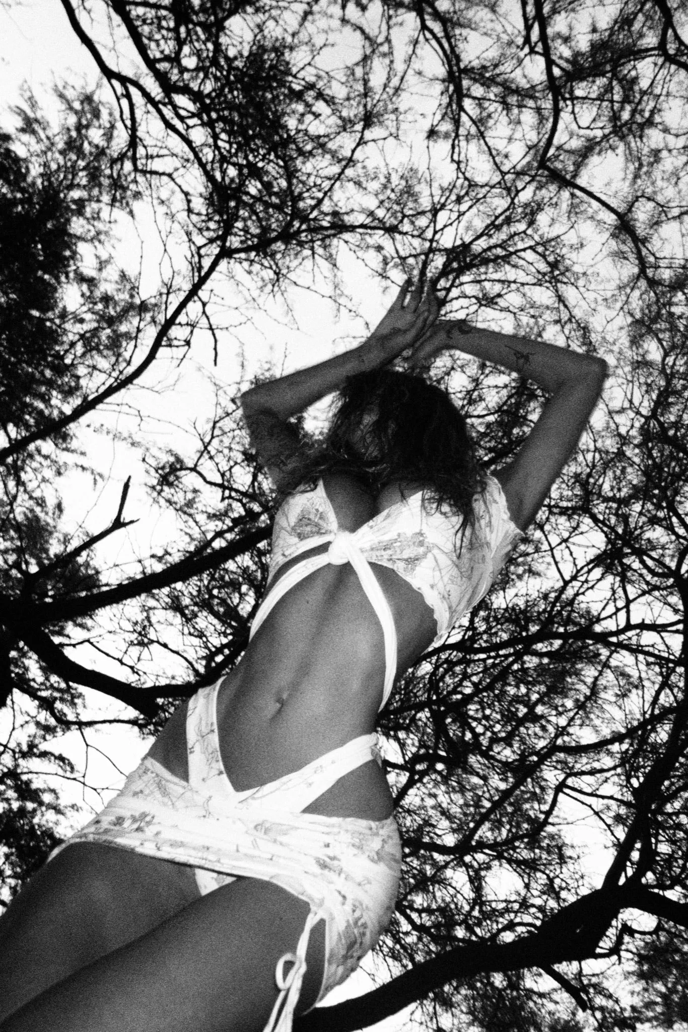 Virgin Top - Moonlight Frolic